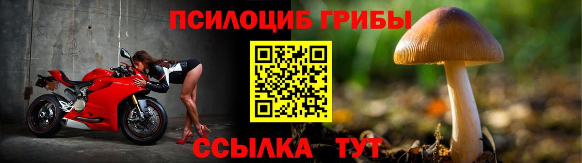 Галлюциногенные грибы GOLDEN TEACHER  Псилоцибиновые грибы прущие грибы  Вход с VPN  Маркс 